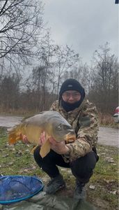 Mirror Carp