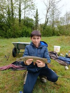Northern Pike