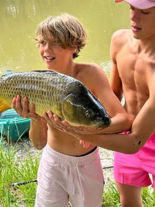 Common Carp