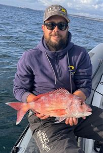 Red Porgy