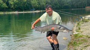 Sturgeon