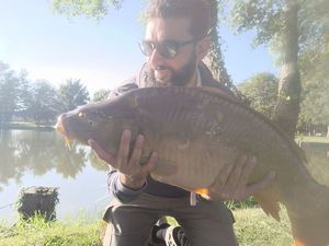 Mirror Carp