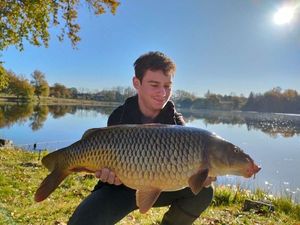 Common Carp