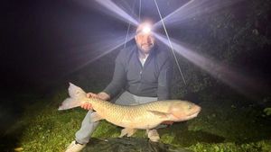 Grass Carp