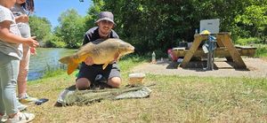 Mirror Carp