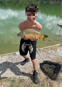 Mirror Carp