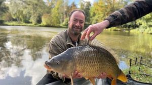 Common Carp