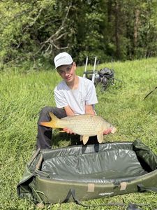 Common Carp