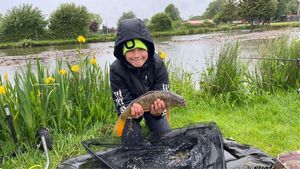 Mirror Carp