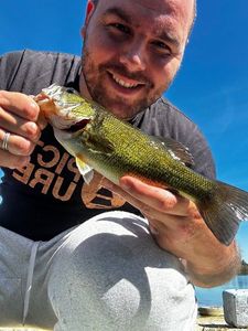 Largemouth Bass