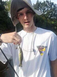 Largemouth Bass