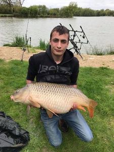 Common Carp