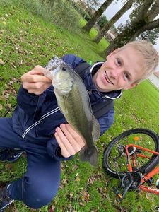 Smallmouth Bass