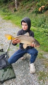 Mirror Carp