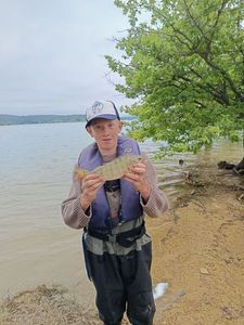 European Perch
