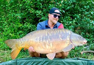 Mirror Carp