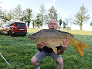 Mirror Carp