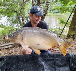 Mirror Carp