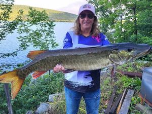 Weakfish