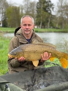 Common Carp