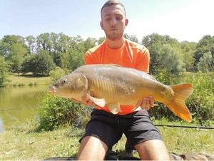 Mirror Carp