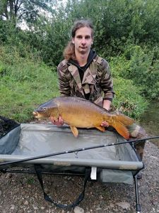 Mirror Carp