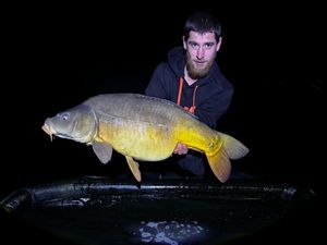 Leather Carp