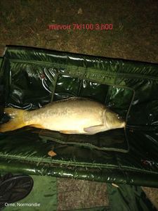 Leather Carp