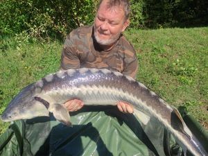 Sturgeon
