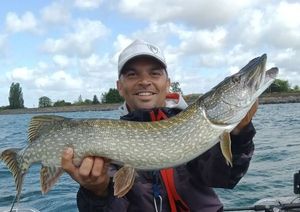 Northern Pike