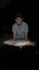 Grass Carp