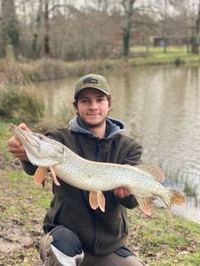 Northern Pike