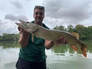Northern Pike