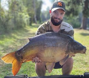 Mirror Carp