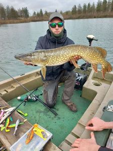 Northern Pike