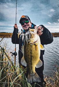 Largemouth Bass