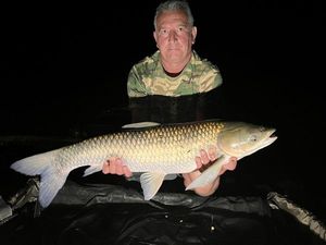Grass Carp