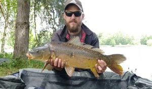Mirror Carp