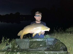 Mirror Carp