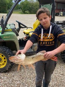 Northern Pike
