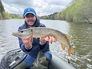 Northern Pike