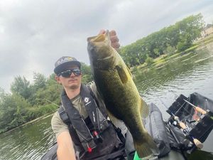 Largemouth Bass