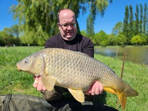 Common Carp