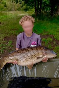 Common Carp