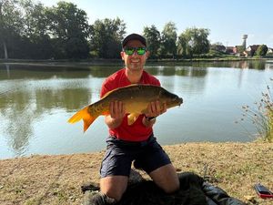 Mirror Carp