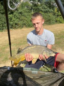 Mirror Carp