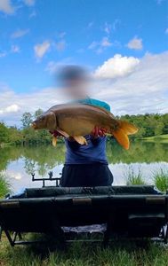 Leather Carp
