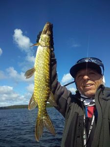 Northern Pike