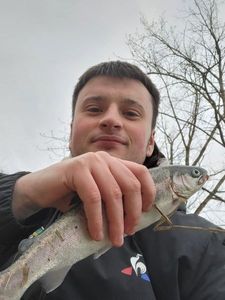 Rainbow Trout