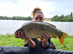 Common Carp
